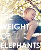 The Weight of Elephants /  